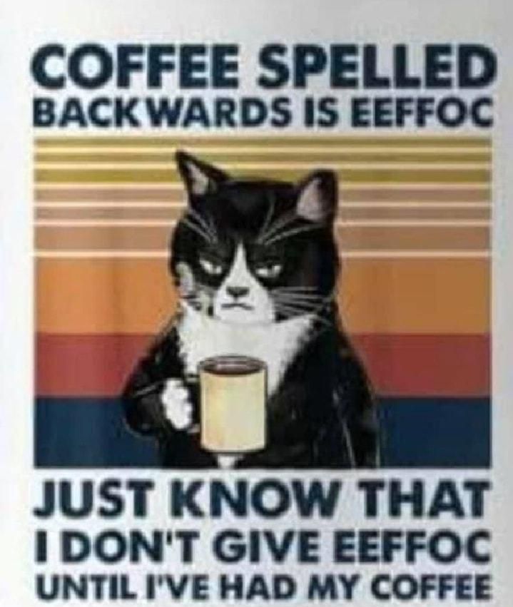 COFFEE SPELLED BACKWARDS IS EEFFOC JUST KNOW THAT I DONT GIVE EEFFOC UNTIL IVE HAD MY COFFEE