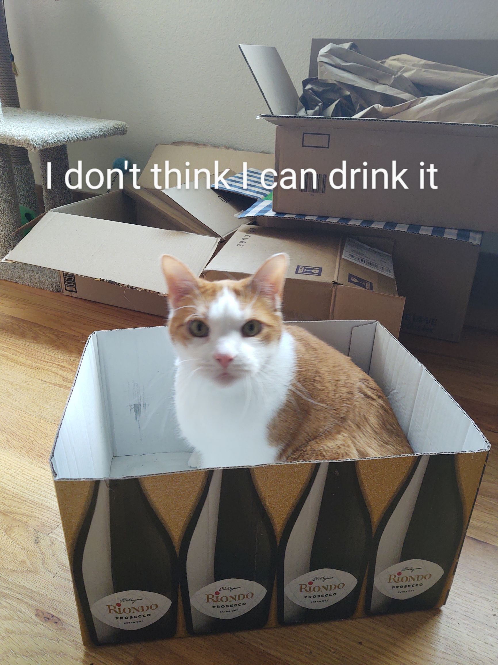 drink it