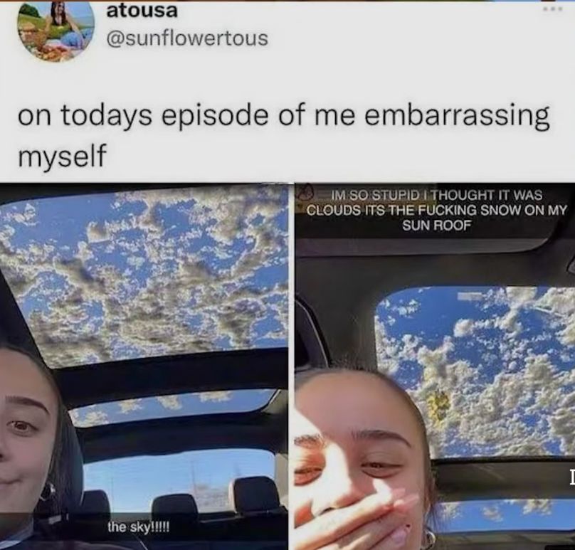 atousa Y sunflowertous on todays episode of me embarrassing