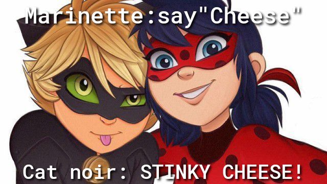 inettesayC A Cat noir STINKY CHEESE