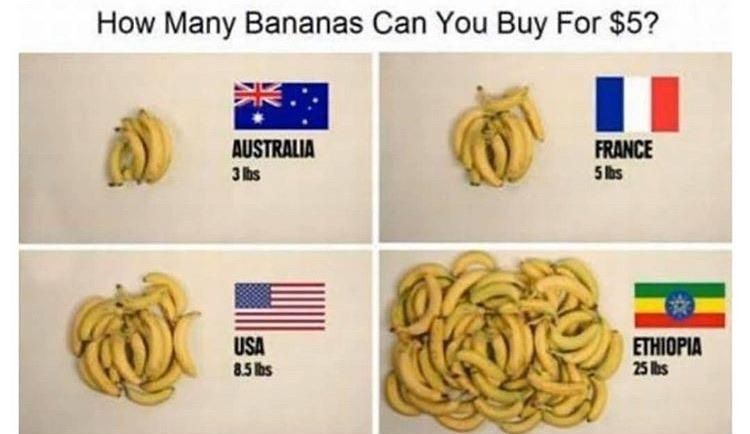 How Many Bananas Can You Buy For 5 Ei Eg