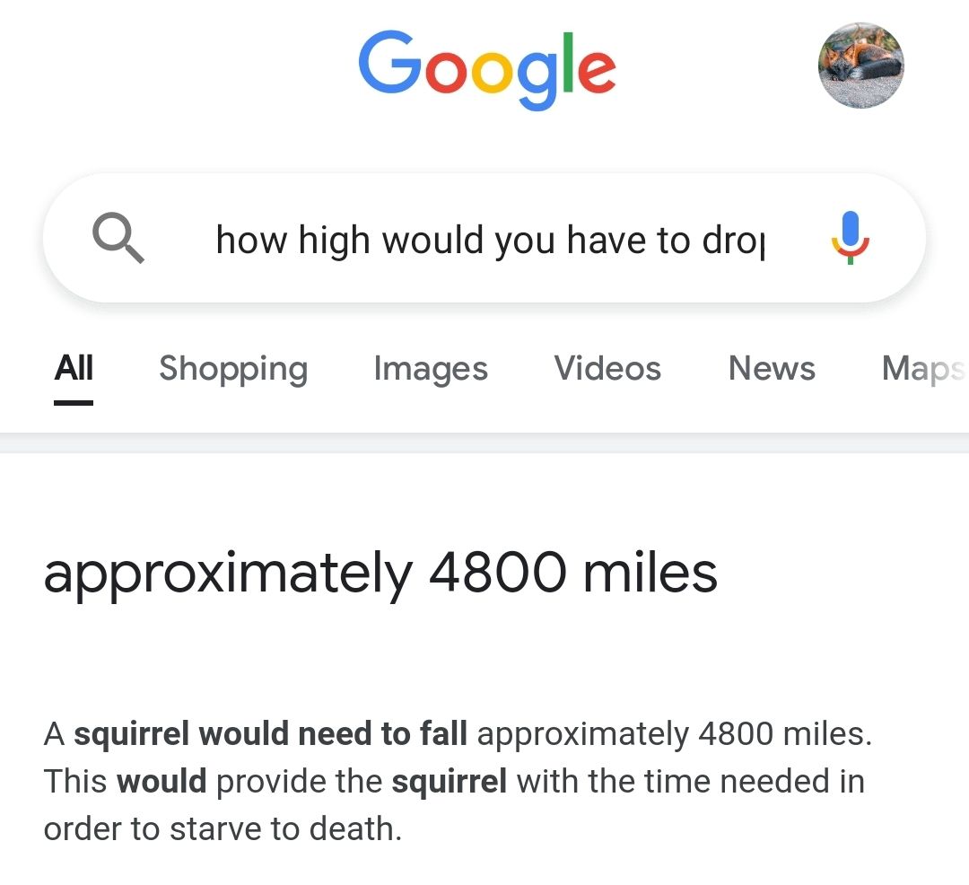 Google O how high would you have to droj All Shopping Images Videos News May approximately 4800 miles A squirrel would need to fall approximately 4800 miles This would provide the squirrel with the time needed in order to starve to death