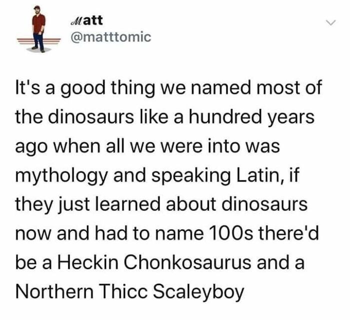 Aatt N matttomic Its a good thing we named most of the dinosaurs like a hundred years ago when all we were into was mythology and speaking Latin if they just learned about dinosaurs now and had to name 100s thered be a Heckin Chonkosaurus and a Northern Thicc Scaleyboy