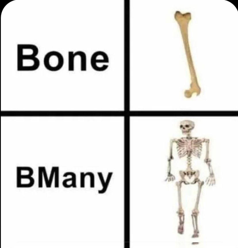 Bone