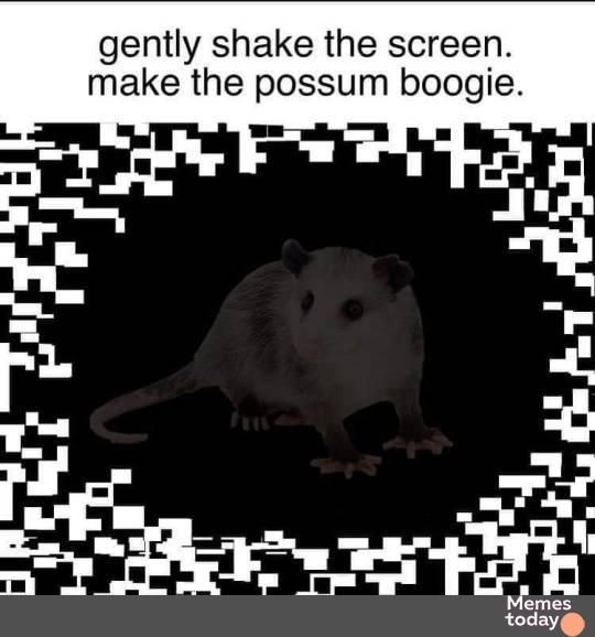 gently shake the screen make the possum boogie Ll f e i s l et tdyo