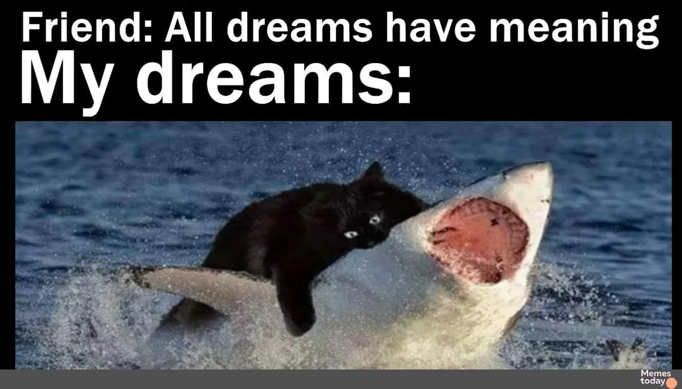 Friend All dreams have meaning VWK CEIN S