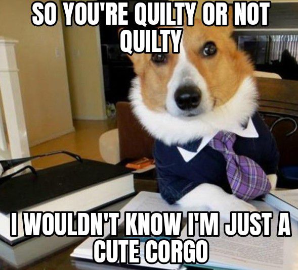 f S0YOURE QUILTYORNOT QUILTY i IWOULDNTKNOW NI