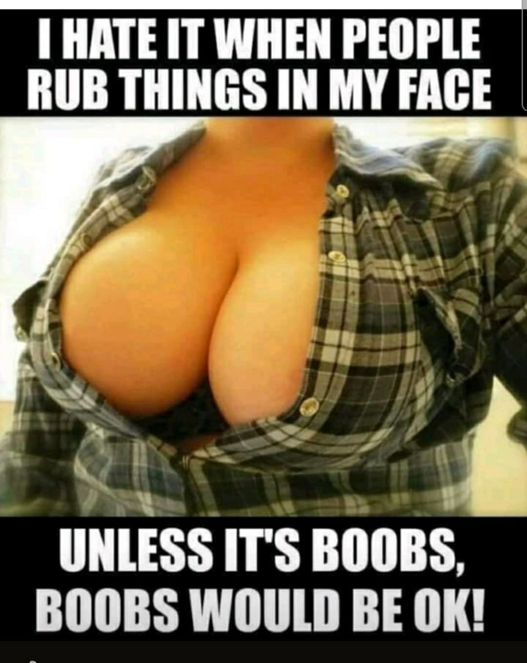 HATE IT WHEN PEOPLE RUB THINGS IN MY FAGE UNLESS ITS BOOBS BOOBS WOULD BE OK