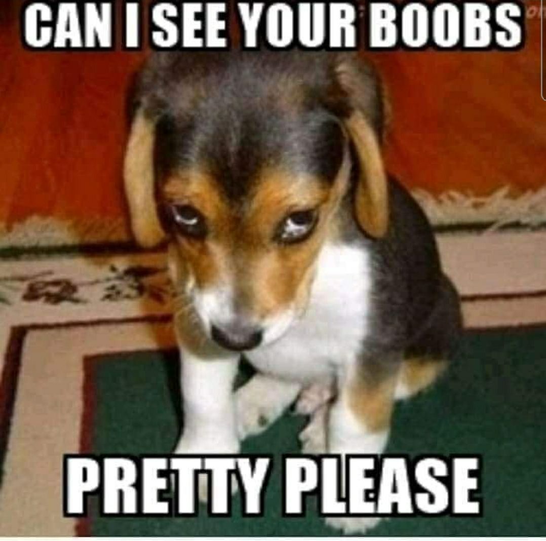 GAN I SEEYOUR BOOBS 4 G 4 2 PRETTY PLEASE