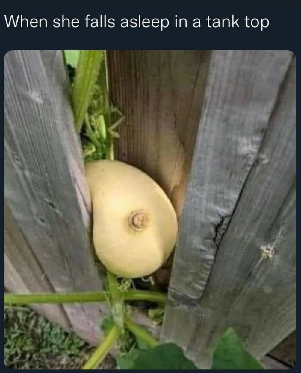 L EI R s R E S o R s R e Tl o o