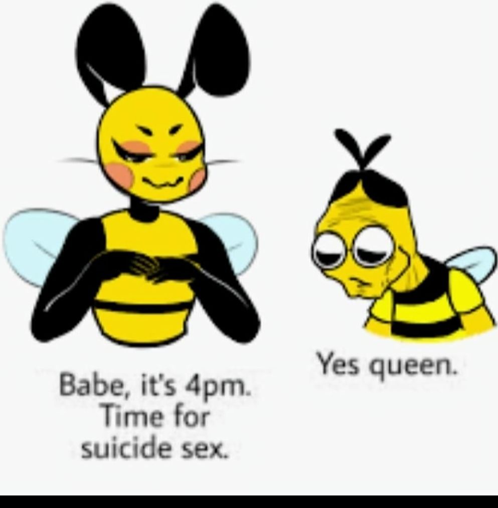 Yes queen Babe its 4pm Time for suicide sex