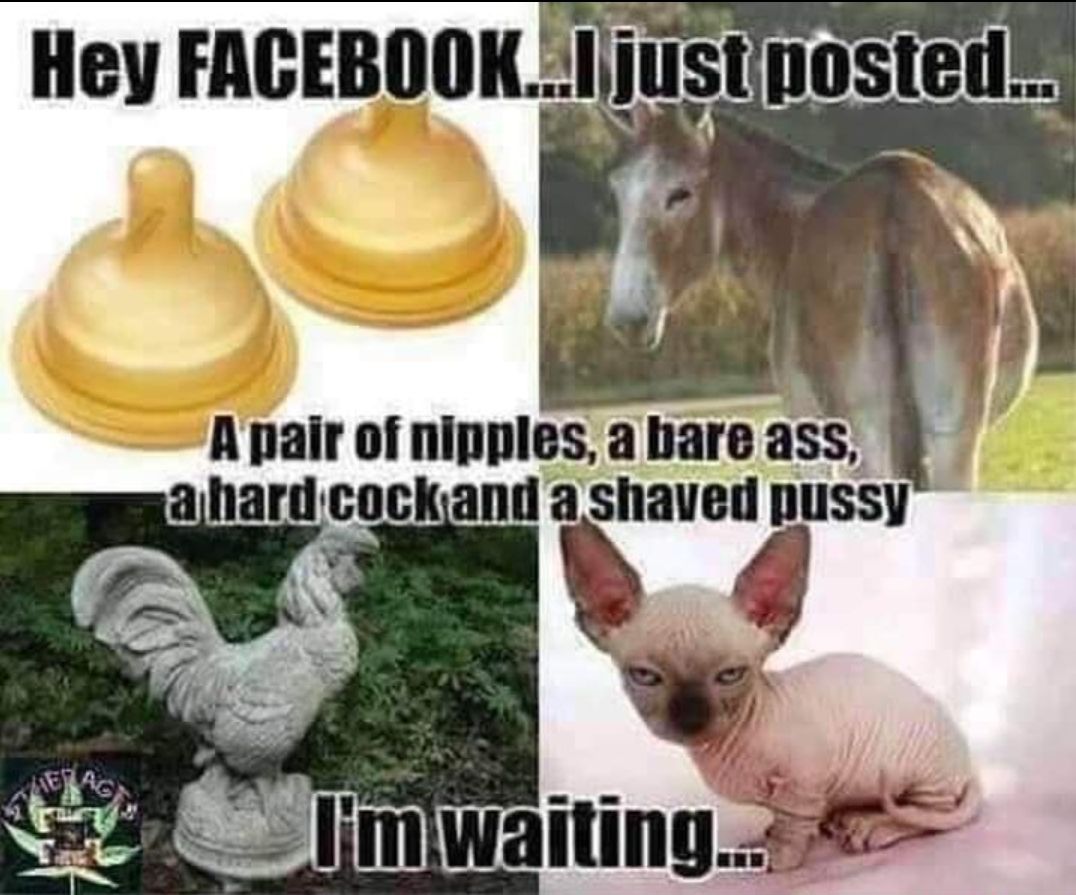 Hey FACEBOOKIjjustposted SOH