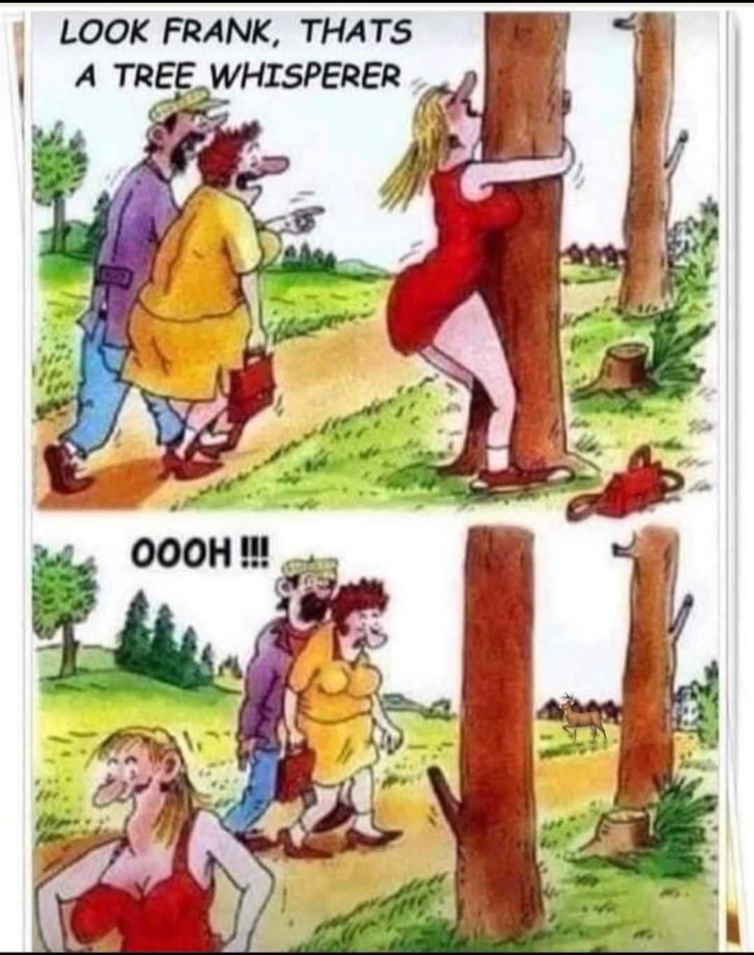 LOOK FRANK THATS A TREE WHISPERER j