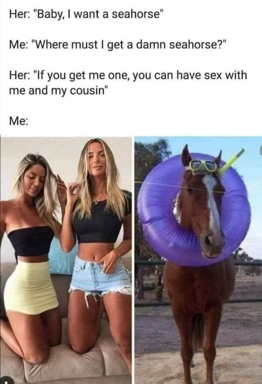 Her Baby want a seahorse Me Where must get a damn seahorse Her If you get me one you can have sex with me and my cousin