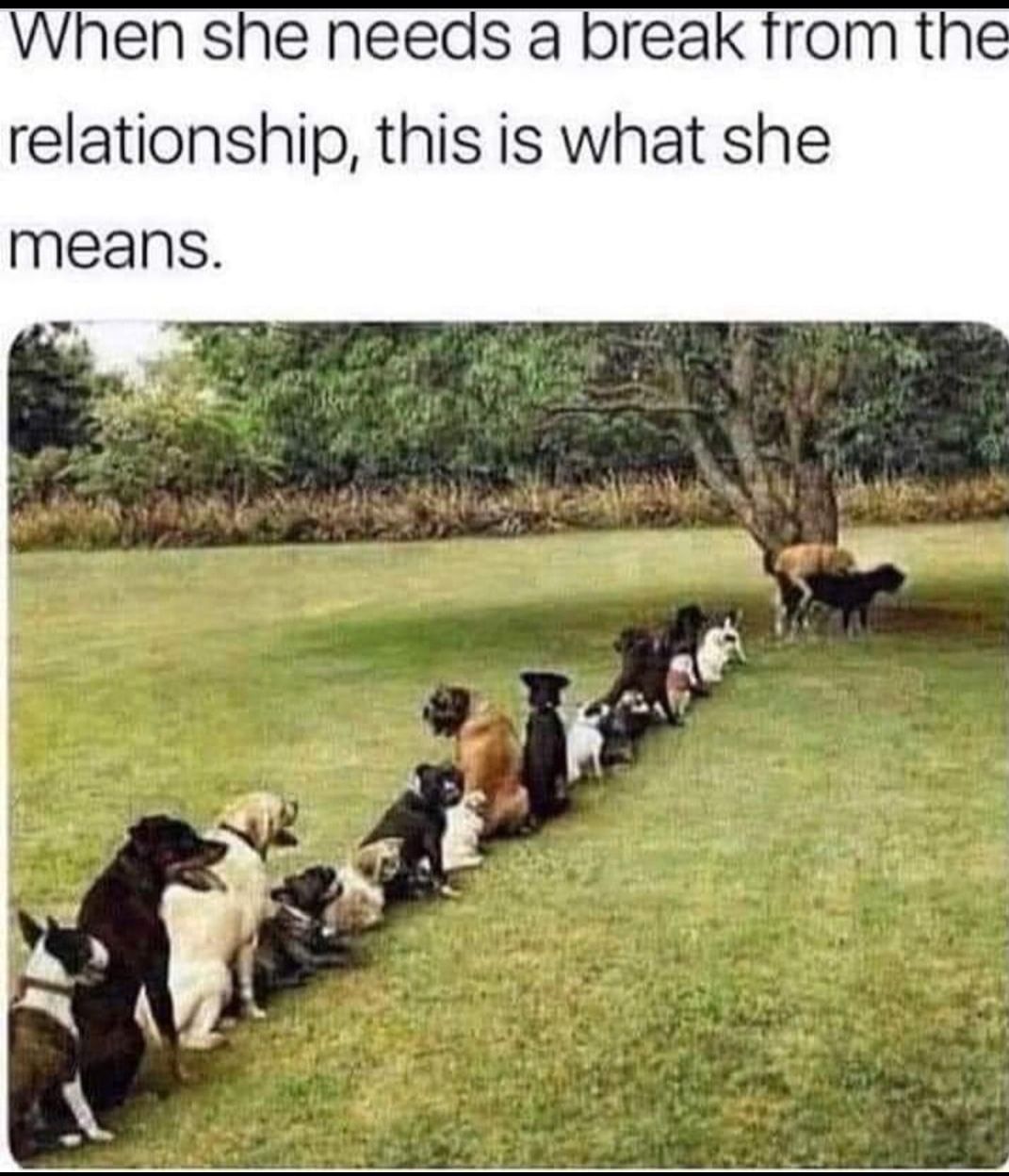 When she needs a break from the relationship this is what she means