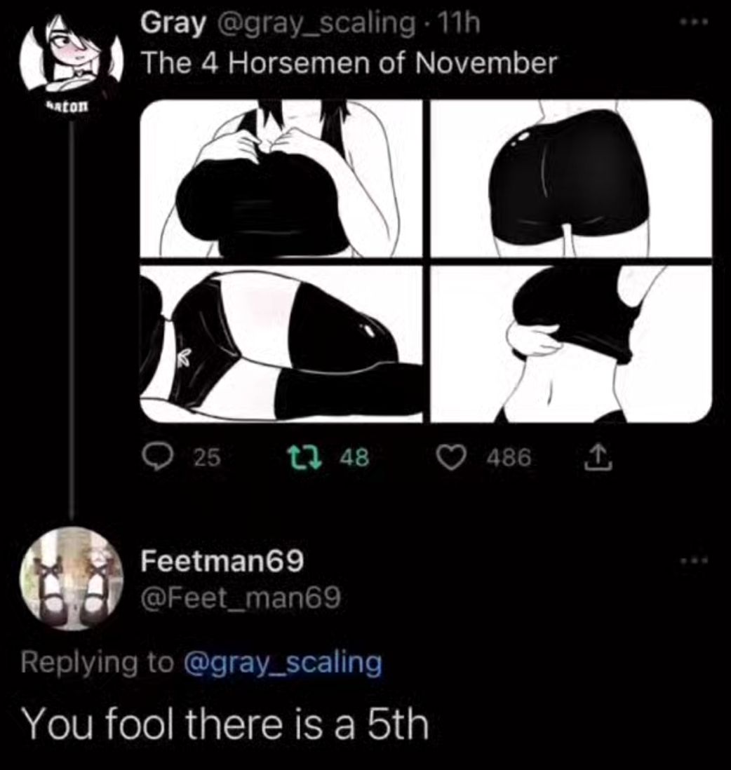 Gray The 4 Horsemen of November N L A Feetman69 gray_scaling You fool there is a 5th