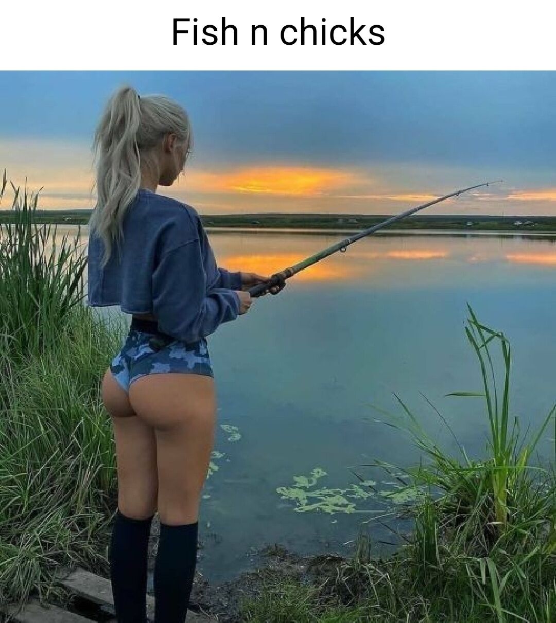Fish n chicks
