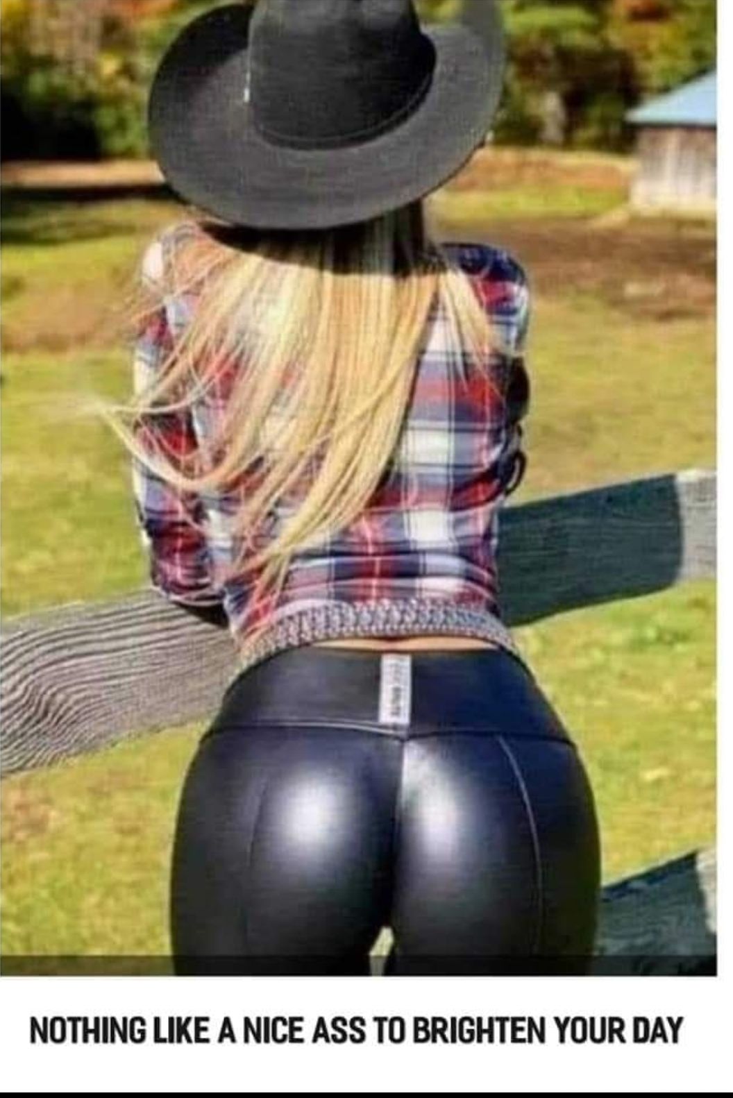 NOTHING LIKE A NICE ASS TO BRIGHTEN YOUR DAY