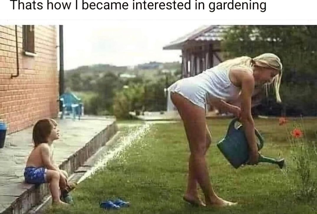 became interested in gardening