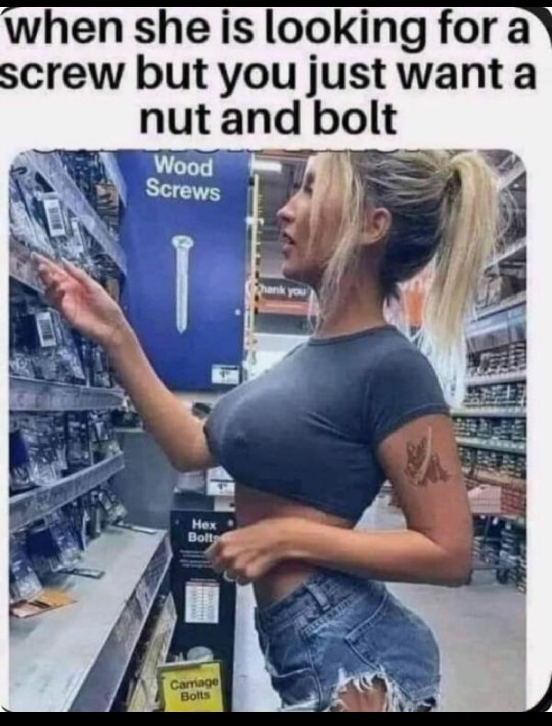 when she is looking for a screw but you just want a nut and bolt