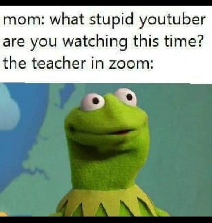 mom what stupid youtuber are you watching this time the teacher in zoom