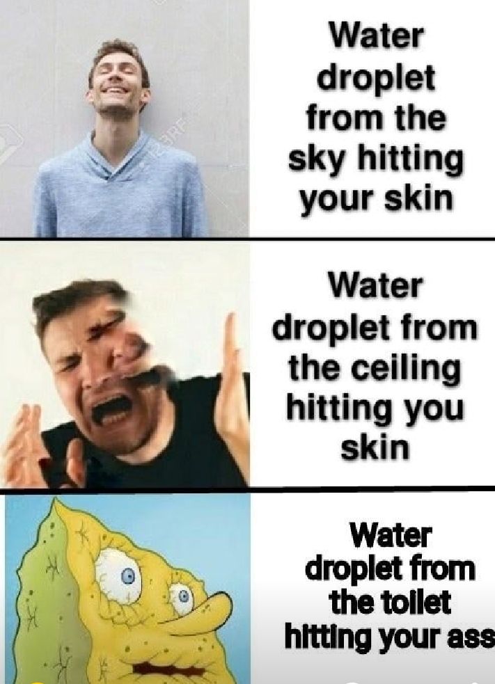 Water droplet Y from the Y7 sky hitting your skin Water droplet from the ceiling hitting you Water droplet from the tollet hitting your ass