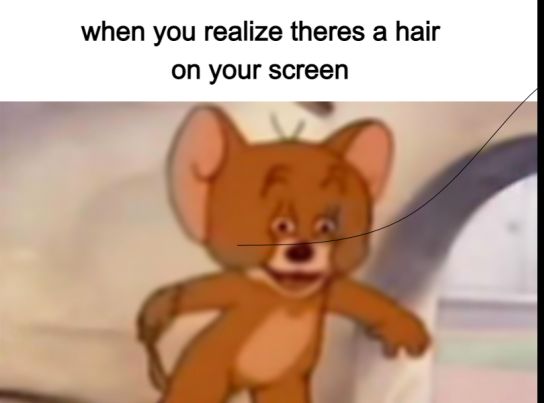 when you realize theres a hair on your screen r