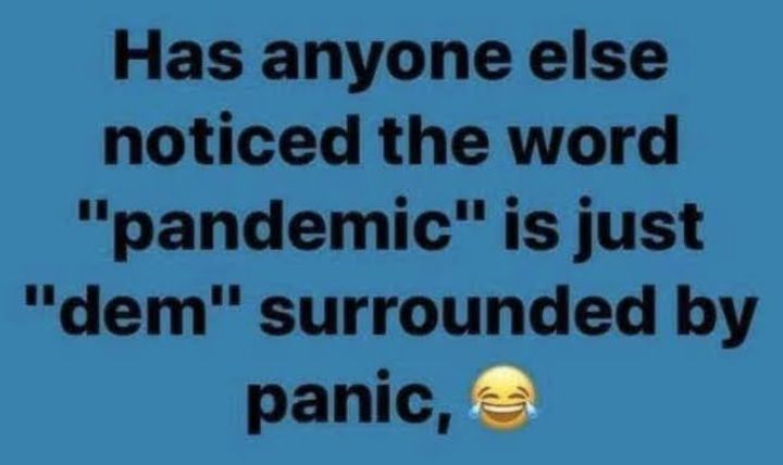 Has anyone else noticed the word pandemic is just dem surrounded by panic