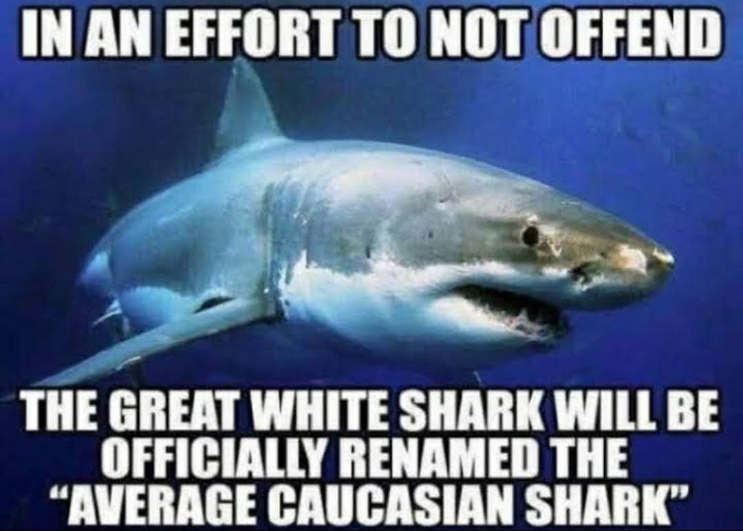 IN AN EFFORT TO NOT OFFEND THE GREAT WHITE SHARK WILL BE OFFICIALLY RENAMED THE IHAH U H S URY