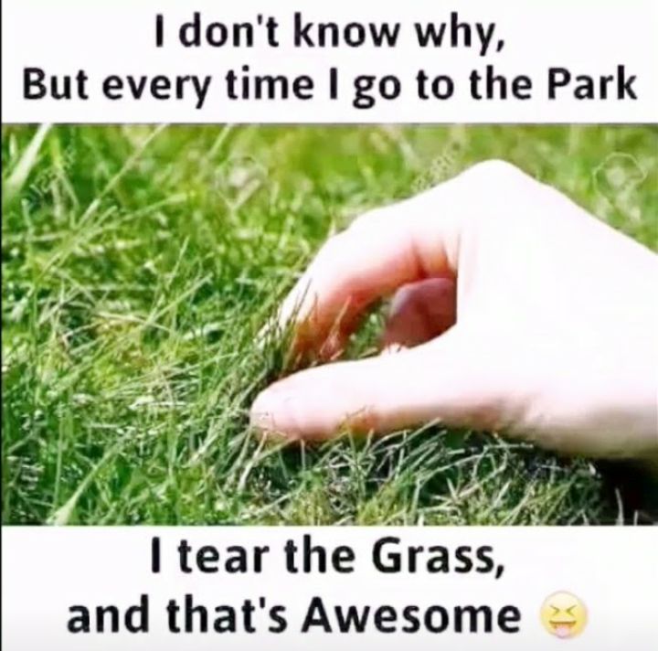 I dont know why But every time go to the Park tear the Grass and thats Awesome