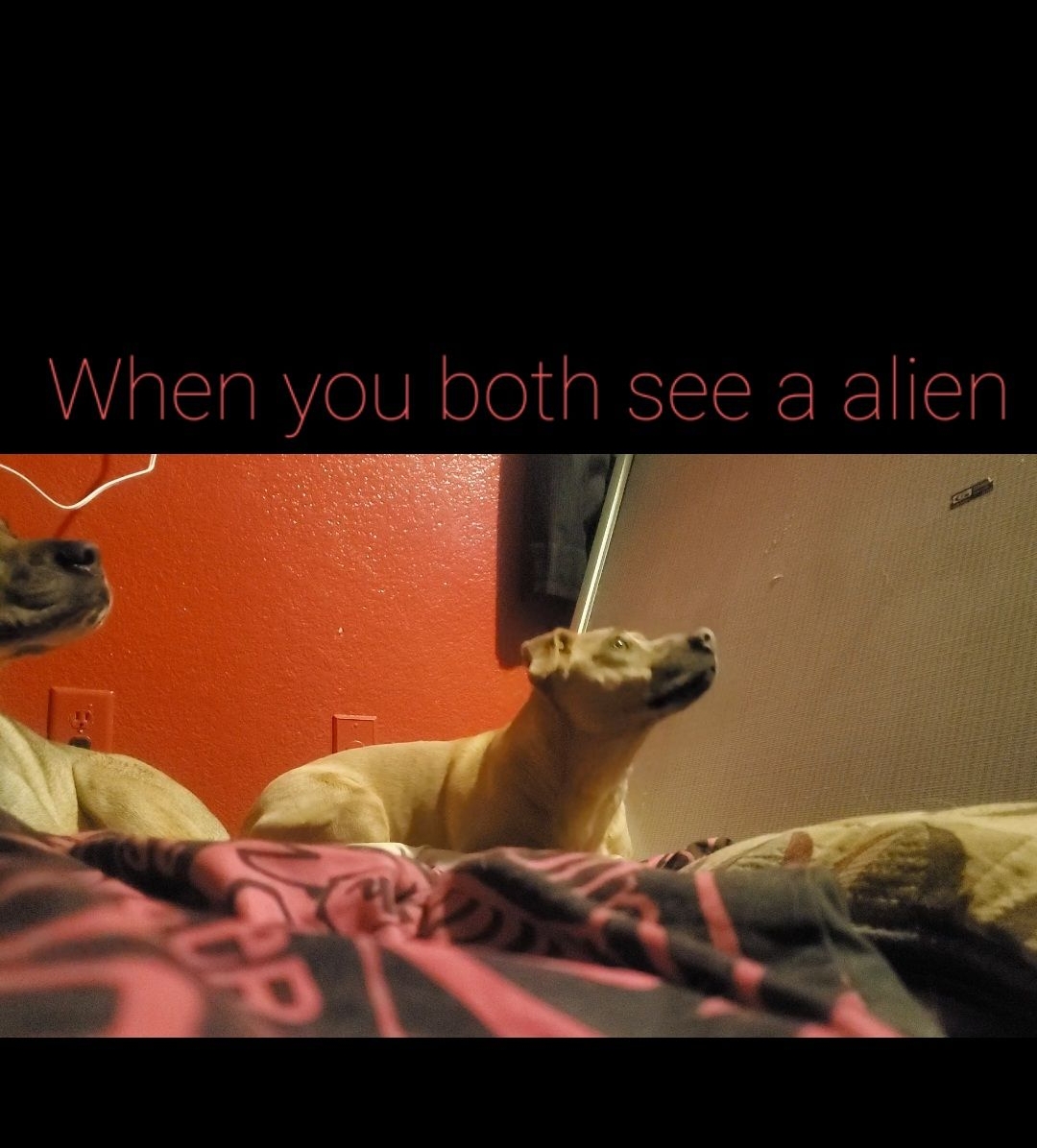 When you both see a alien