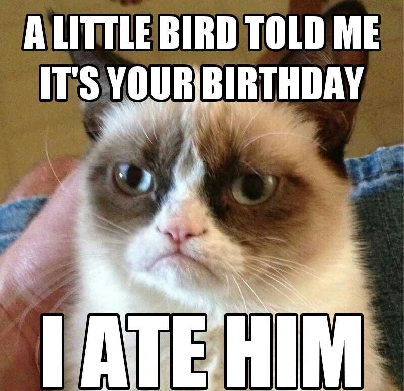 ALITTLEBIRDTOLD ME ITSYOURJBIRTHDAY