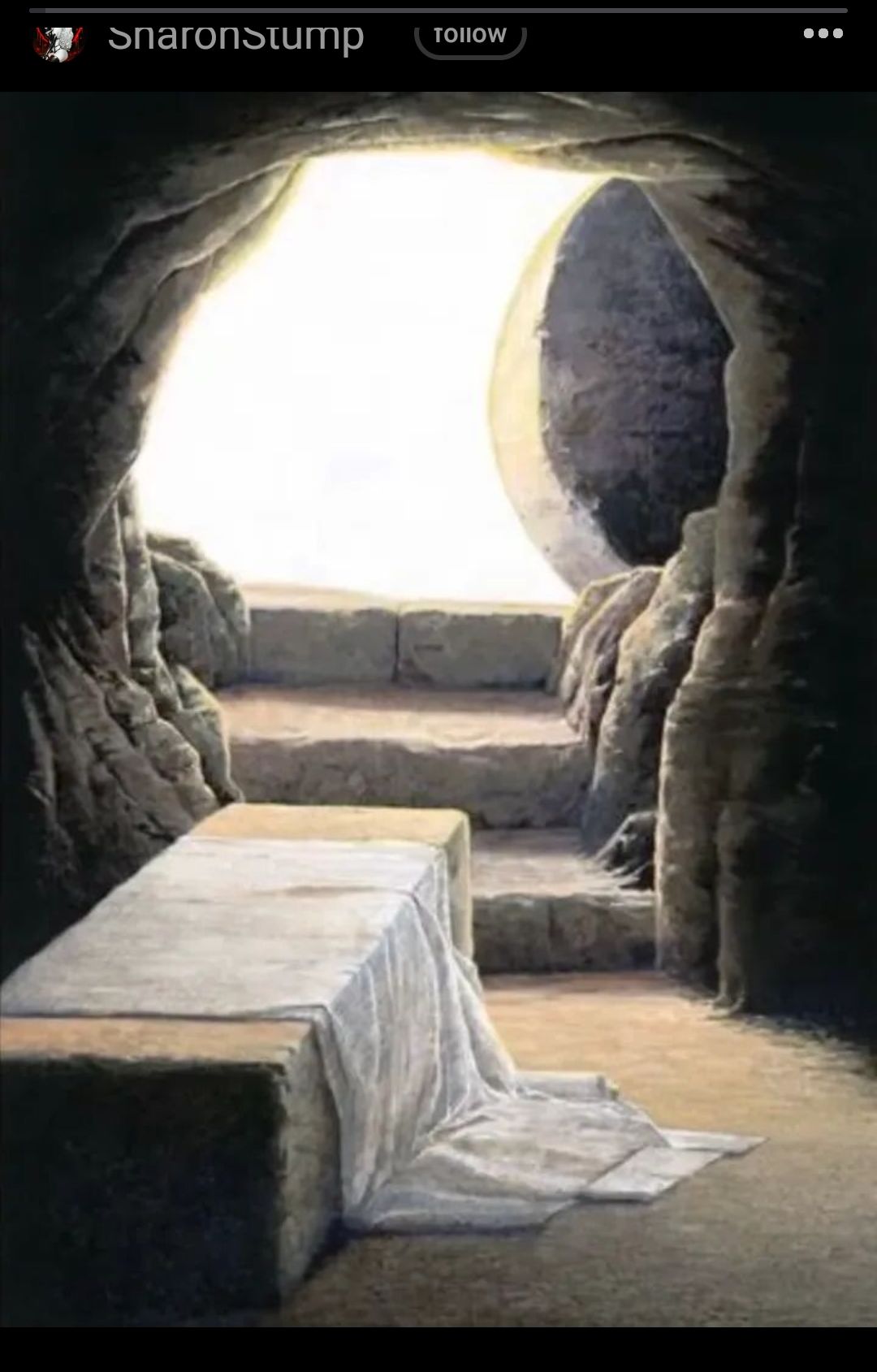 F DnaronsSwump ronow wis