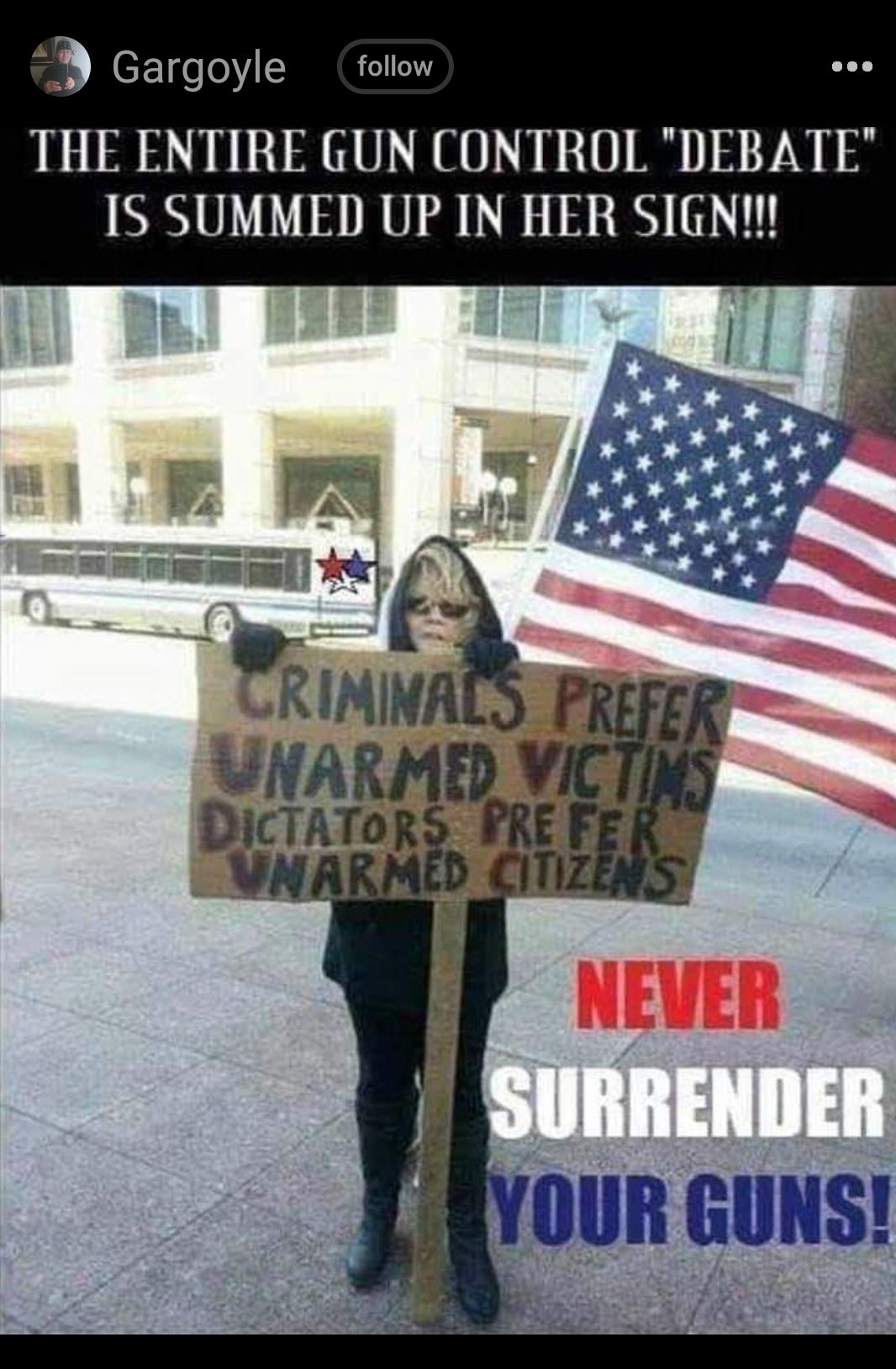 D Gargoyle follow THE ENTIRE GUN CONTROL DEBATE IS SUMMED UP IN HER SIGN