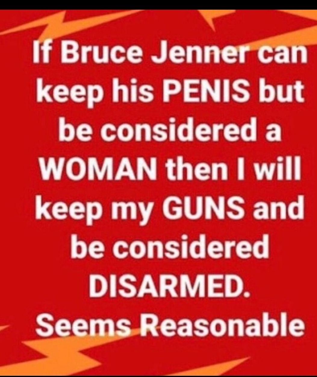 i Bruce Jenneran LG T o S TR TT be considered a WOMAN then I will G A TR T be considered DISARMED yeasonablwe J