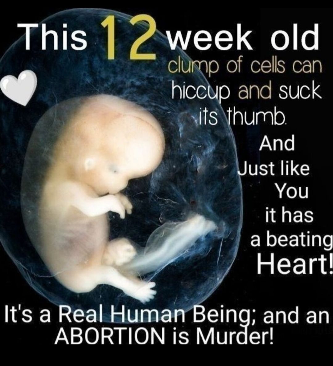 This 1 2 eek old clump of cells can off hiceip and suck sits thumb And Just like You I8 ES a beating Heart Its a Real Human Being and an ABORTION is Murder