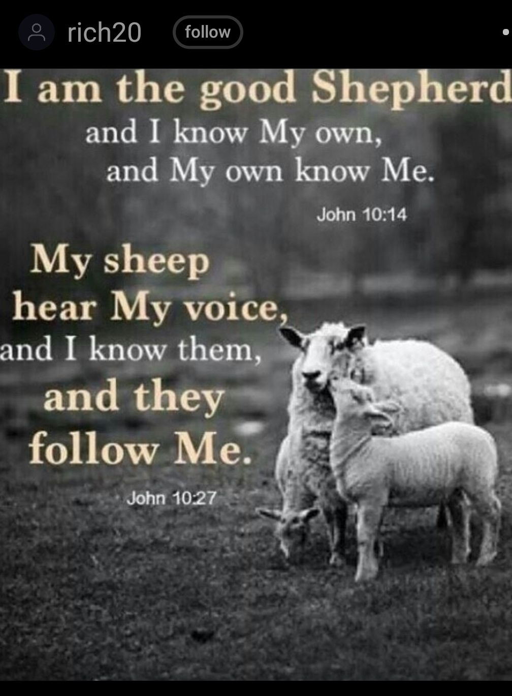 rich20 follow I am the good Shqpherd and I know My own and My own know Me John 1014 My sheep hear My voice and I know them and they 5 follow Me pragee