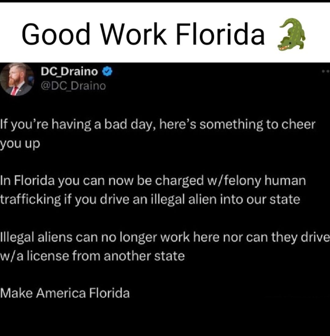 Good Work Florida DC Draino If youre having a bad day heres something to cheer you up In Florida you can now be charged wfelony human trafficking if you drive an illegal alien into our state lllegal aliens can no longer work here nor can they drive WENEIEE N EN G TS GG Make America Florida