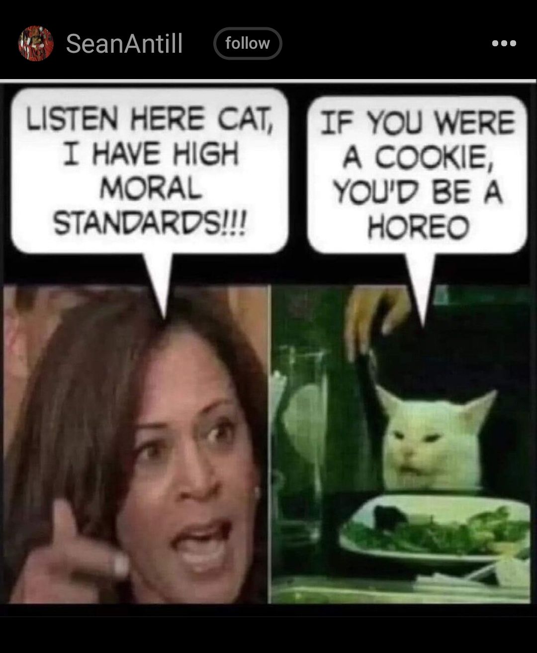 SeanAntill follow LISTEN HERE CAT I HAVE HIGH IF YOU WERE A COOKIE YOUD BE A HOREO MORAL STANDARDS
