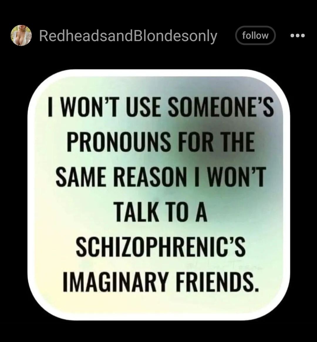 RedheadsandBondesony follow eee WONT USE SOMEONES PRONOUNS SAME REASON I WONT TALKTO A SCHIZOPHRENICS IMAGINARY FRIENDS
