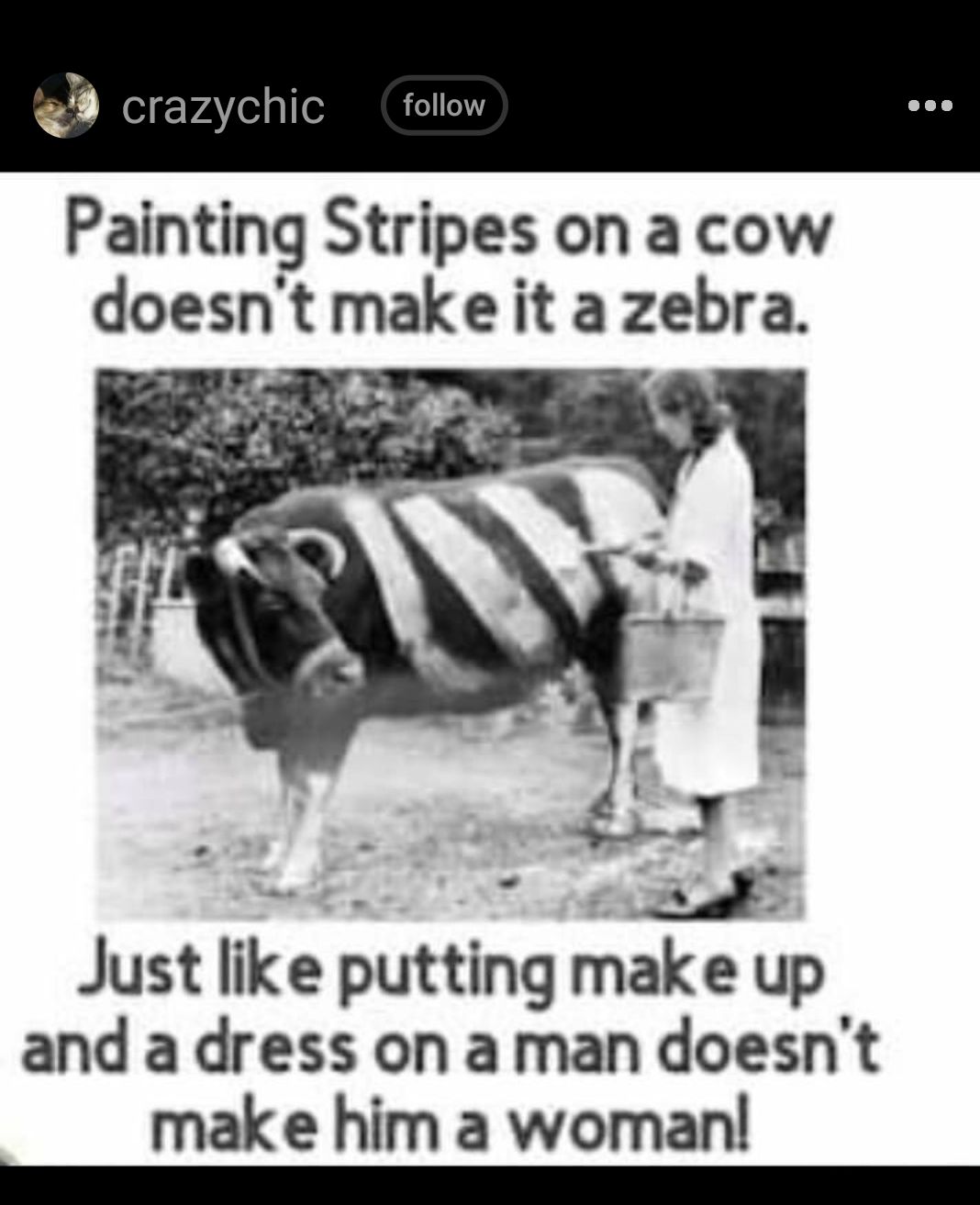 Painting Stripes on a cow doesnt make it a zebra S FORERP Just like putting make up and a dress on aman doesnt mak e him a womanl i