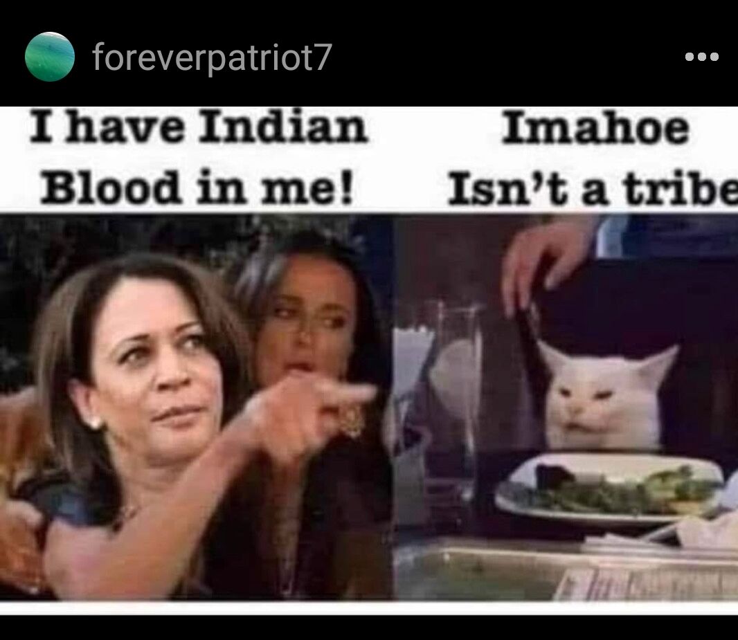foreverpatriot7 I have Indian Blood in me Imahoe Isnt a tribe