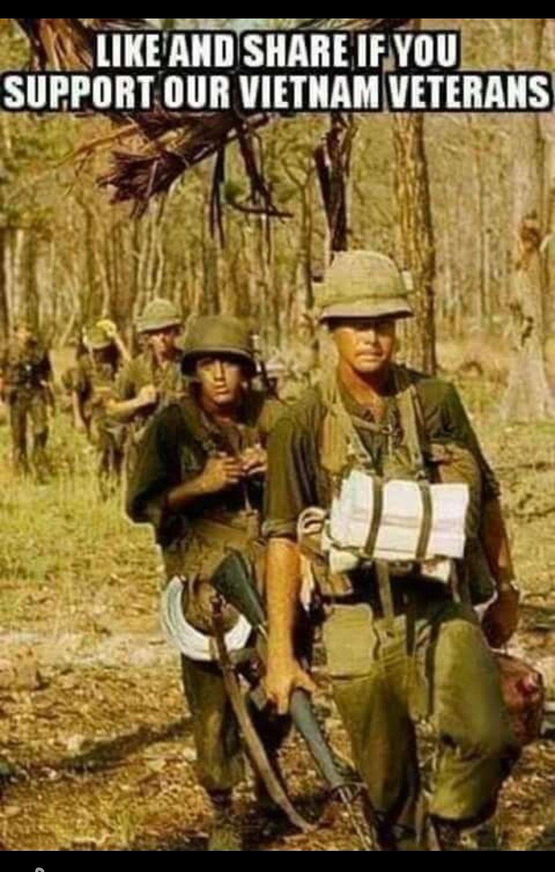 2 LIKEANDSHARE IFyou A surronr OUR vumglgmms