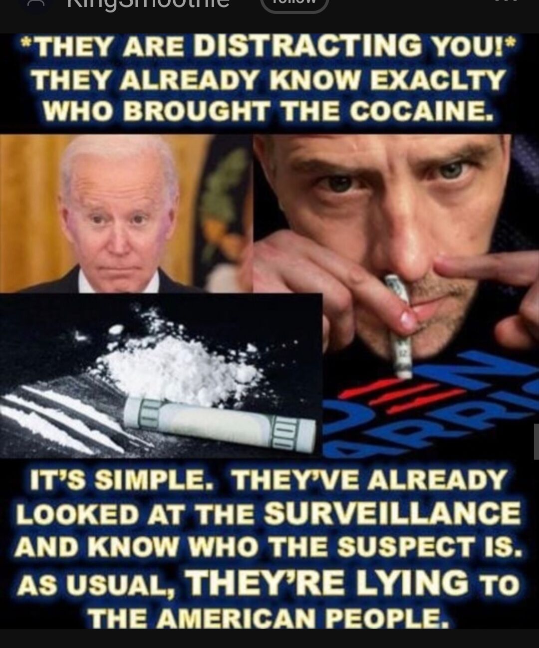 bianads jblddogia il i THEY ARE DISTRACTING You THEY ALREADY KNOW EXACLTY WHO BROUGHT THE COCAINE ITS SIMPLE THEYVE ALREADY LOOKED AT THE SURVEILLANCE AND KNOW WHO THE SUSPECT IS PERTEIT7YM AR ch THE AMERICAN PEOPLE