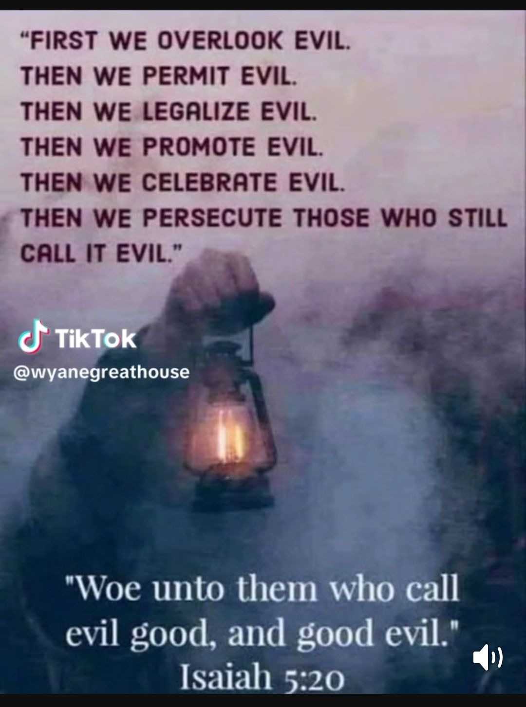 FIRST WE OVERLOOK EVIL THEN WE PERMIT EVIL THEN WE LEGALIZE EVIL THEN WE PROMOTE EVIL THEN WE CELEBRATE EVIL THEN WE PERSECUTE THOSE WHO STILL CALL IT EVIL Woe unto them who call evil good and good evil Isaiah 520 b A