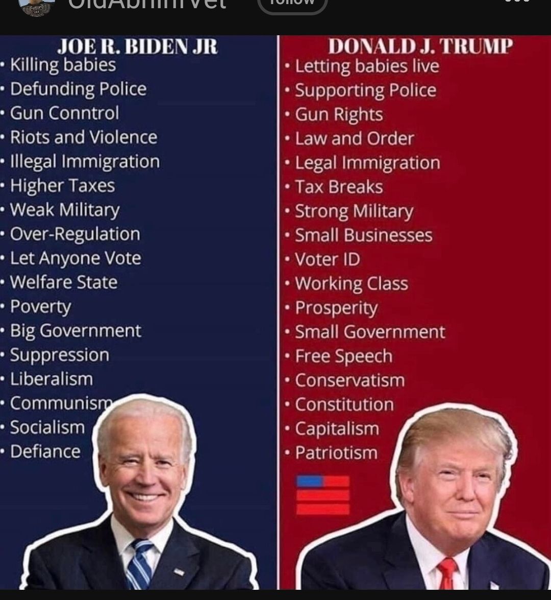 LD AR JOE Killing babie Defunding Police Gun Conntrol Riots and Violence llegal Immigration Higher Taxes Weak Military Over Regulation Let Anyone Vote Welfare State Poverty Big Government Suppression Liberalism Communis Socialism Defiance SRR DONALD J TRUMP Letting babies live Supporting Police Gun Rights Law and Order Legal Immigration Tax Breaks Strong Military Small Businesses Voter ID Working 