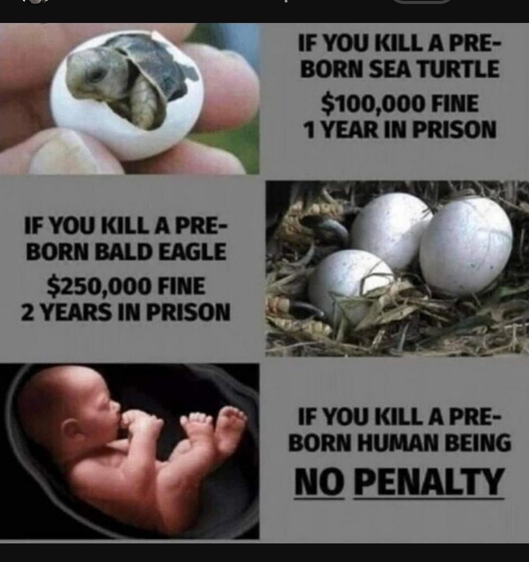 250000 FINE 2 YEARS IN PRISON IF YOU KILL A PRE BORN HUMAN BEING NO PENALTY