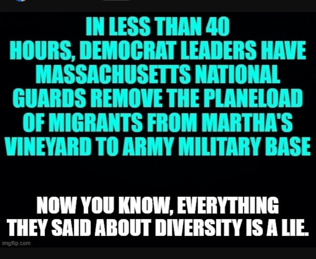 NOW YOU KNOW EVERYTHING THEY SAID ABOUT DIVERSITY IS A LIE