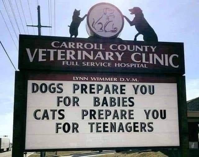 CARROLL COU VETERINARY CLlNIC FULL SERVICE HOSPITAL LYNN WIMMER DVM DOGS PREPARE YOU FOR BABIES CATS PREPARE YOU FOR TEENAGERS