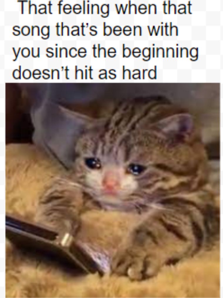 That feeling when that song thats been with you since the beginning doesnt hit as hard